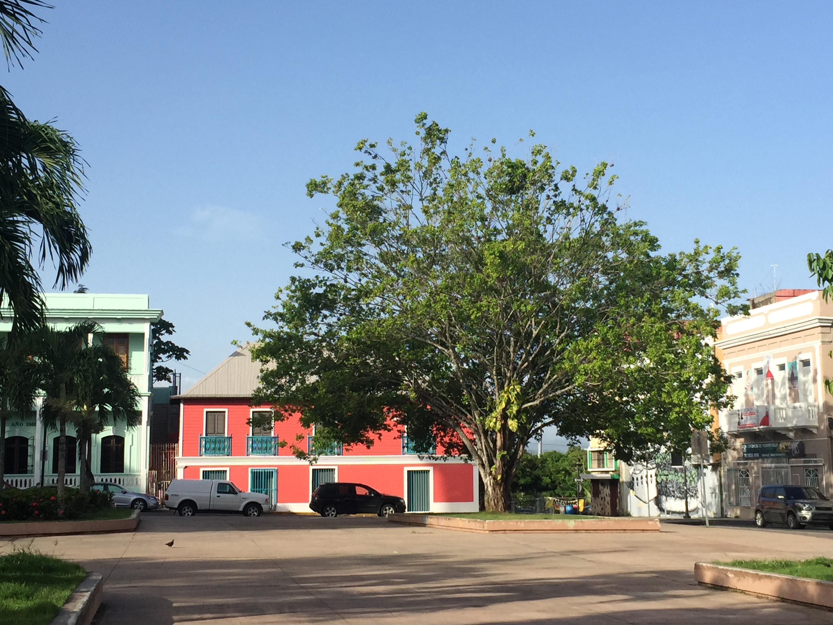 Casa de Cultura Ruth Hernández Torres - San Juan (Río Piedras) - 2015 00002
